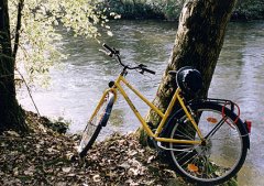 Fahrrad am Baumstamm angelehnt Fahrrad am Baumstamm angelehnt