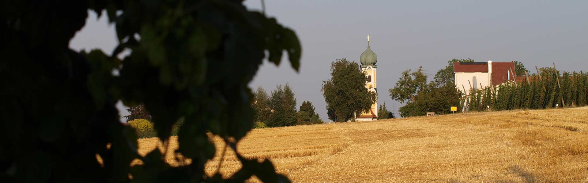 Header Wolfersdorf - Sommer 4